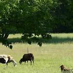 Im Spreewald In Idyllischer Alleinlage * Werben (Brandenburg)