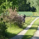 Im Spreewald In Idyllischer Alleinlage Apartamento Werben (Brandenburg)