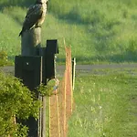 Apartamento Im Spreewald In Idyllischer Alleinlage *