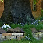 Im Spreewald In Idyllischer Alleinlage * Werben (Brandenburg)