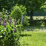 Im Spreewald In Idyllischer Alleinlage *