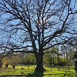 Apartamento Im Spreewald In Idyllischer Alleinlage Werben (Brandenburg)