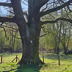 Im Spreewald In Idyllischer Alleinlage * Werben (Brandenburg)