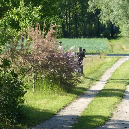 Im Spreewald In Idyllischer Alleinlage Apartamento Werben (Brandenburg)