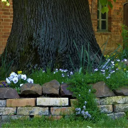 Im Spreewald In Idyllischer Alleinlage * Werben (Brandenburg)