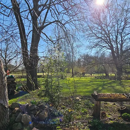 Im Spreewald In Idyllischer Alleinlage *