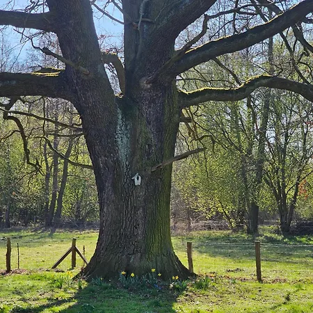 Im Spreewald In Idyllischer Alleinlage * Werben (Brandenburg)