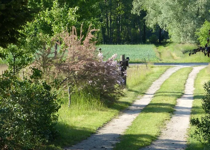 Im Spreewald In Idyllischer Alleinlage Apartamento Werben (Brandenburg)