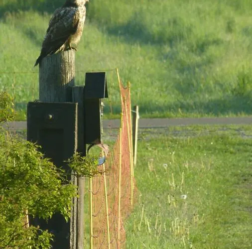 아파트 Im Spreewald In Idyllischer Alleinlage *