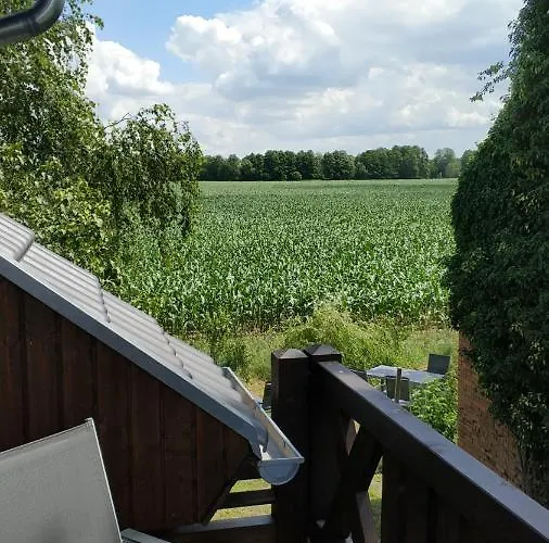 Im Spreewald In Idyllischer Alleinlage 아파트