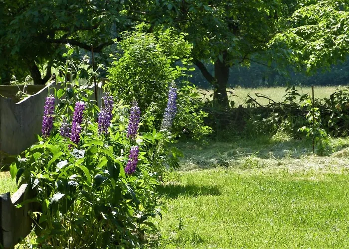 Im Spreewald In Idyllischer Alleinlage *