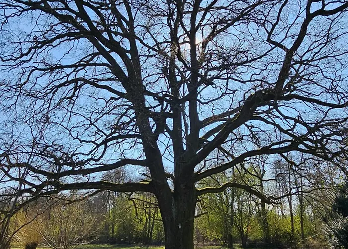 Apartamento Im Spreewald In Idyllischer Alleinlage Werben (Brandenburg)
