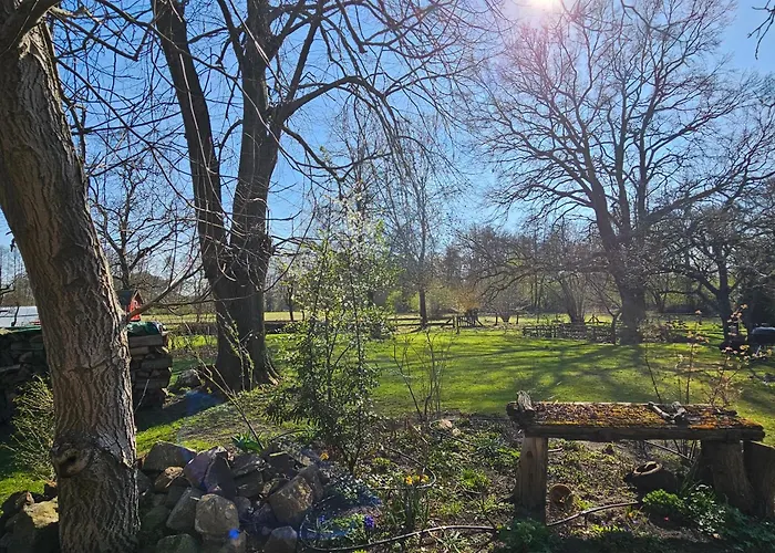 Im Spreewald In Idyllischer Alleinlage *