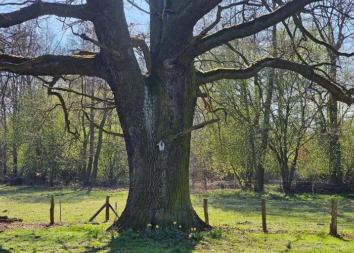 Im Spreewald In Idyllischer Alleinlage * Werben (Brandenburg)